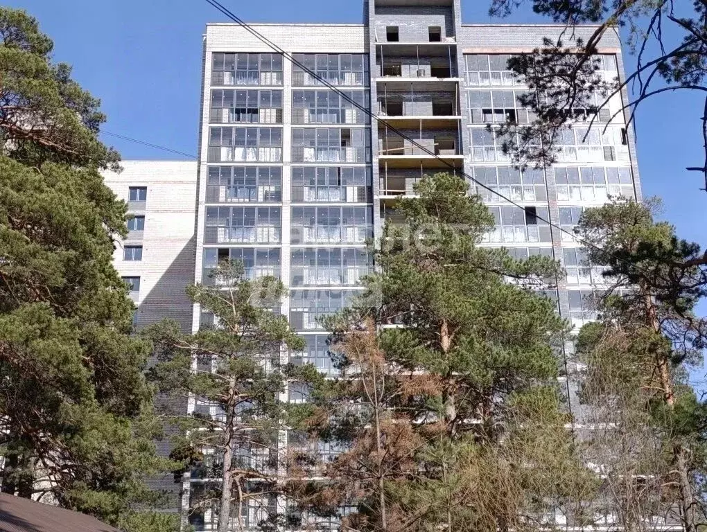 2-к кв. Забайкальский край, Чита Кайдаловская ул., 45 (57.4 м) - Фото 1