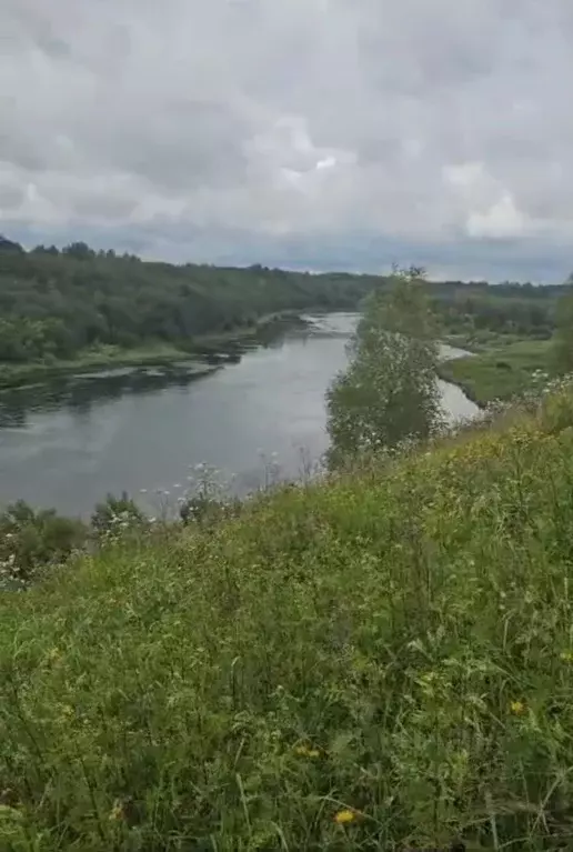 Участок в Тверская область, Ржевский муниципальный округ, Рассвет-3Б ... - Фото 2
