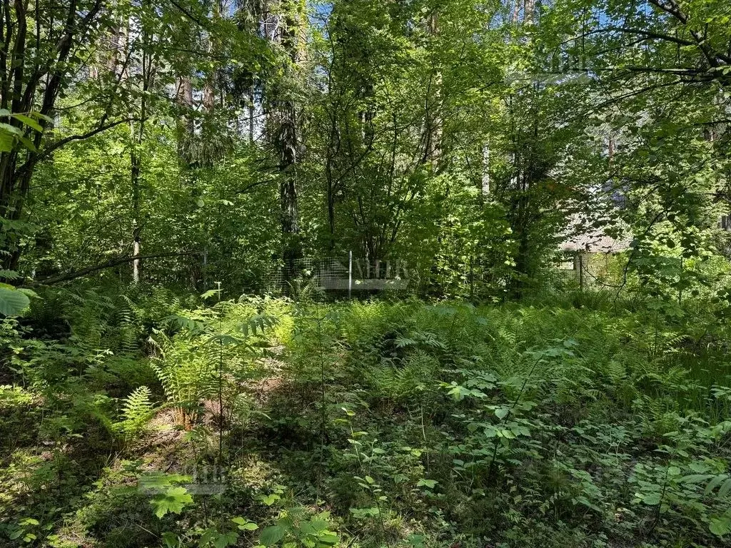 Участок в Московская область, Одинцовский городской округ, пос. дома ... - Фото 1