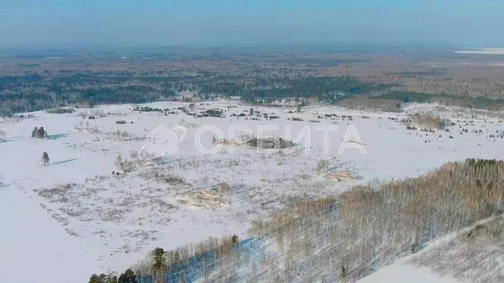 Участок в Тюменская область, Нижнетавдинский район, пос. Кунчур  (8.0 ... - Фото 1