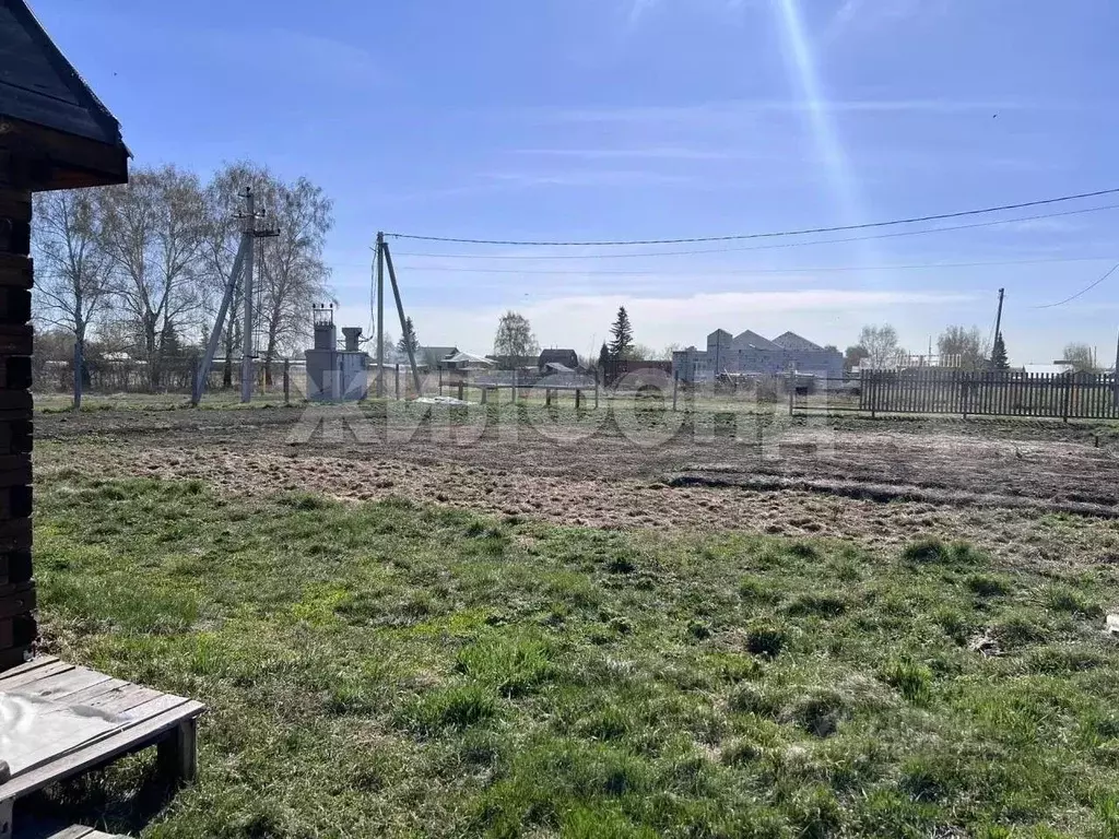 Участок в Новосибирская область, Ордынский район, с. Новопичугово  ... - Фото 1