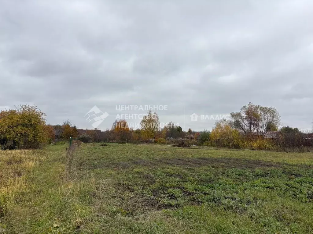 Участок в Рязанская область, Рязанский муниципальный округ, д. ... - Фото 1