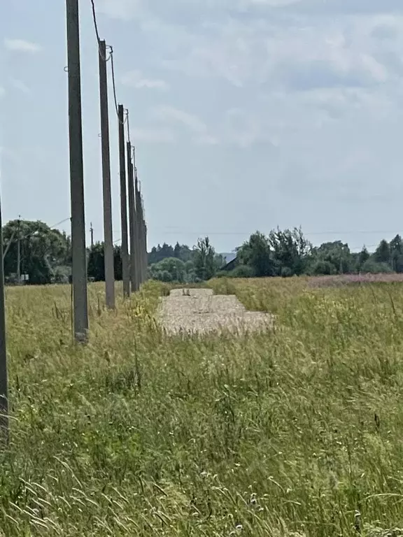 Участок в Московская область, Волоколамский муниципальный округ, ... - Фото 1