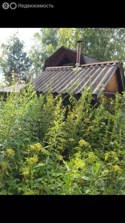 Дом в Болотнинский район, Новобибеевский сельсовет (35 м) - Фото 1