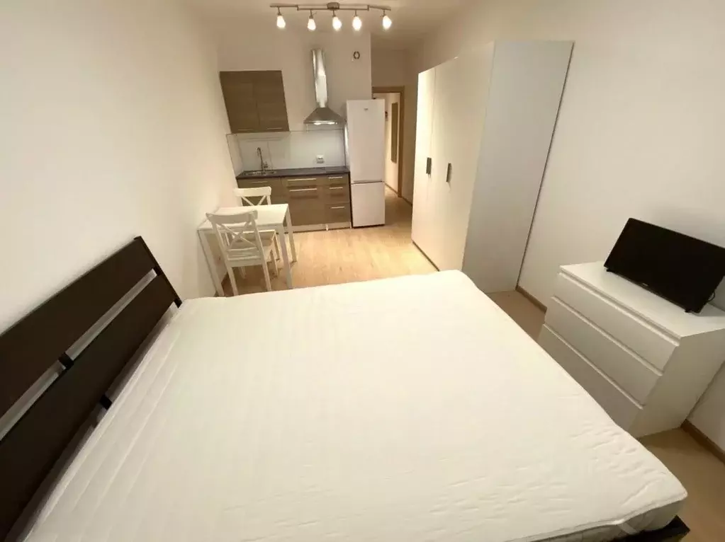 Студия Санкт-Петербург ул. Летчика Лихолетова, 14к2 (25.0 м) - Фото 2