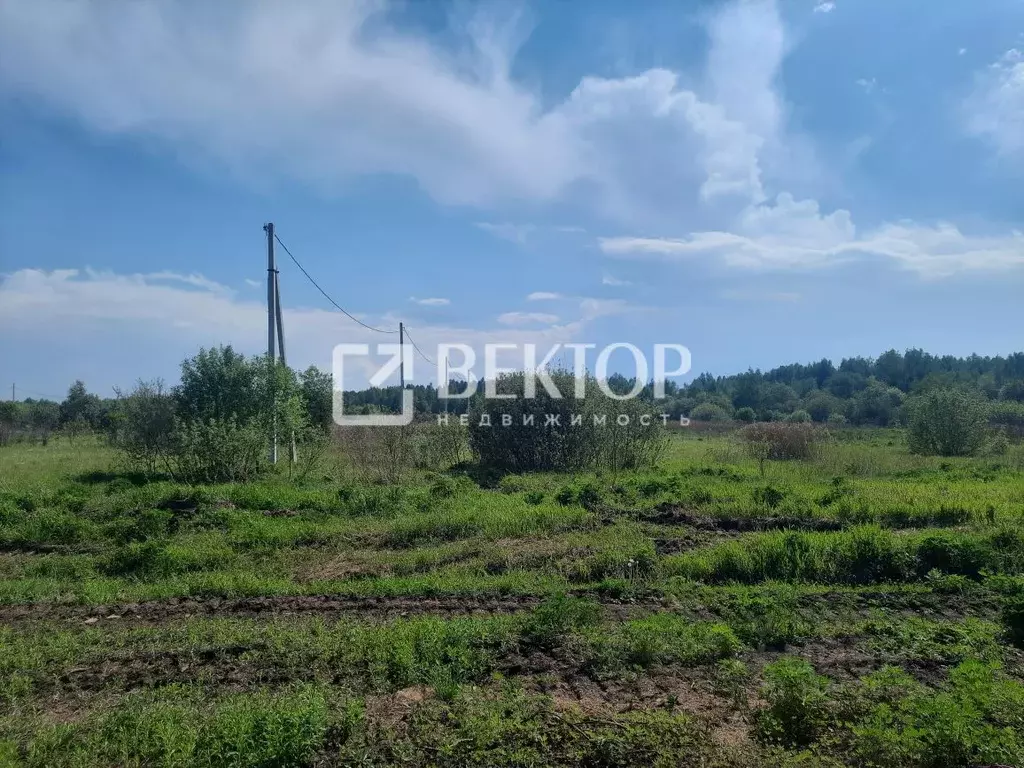 Участок в Костромская область, Кострома Соколиное Гнездо кп,  (12.91 ... - Фото 0