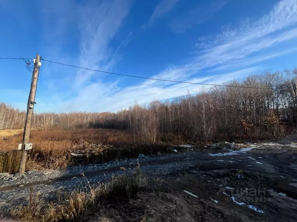 Участок в Хабаровский край, Хабаровский район, Тополевское с/пос, с. ... - Фото 2