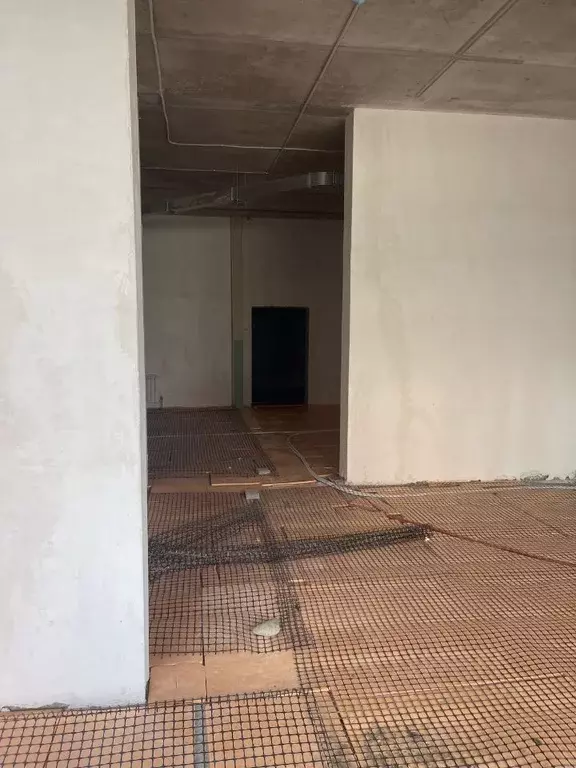 Помещение свободного назначения в Ставропольский край, Ставрополь ул. ... - Фото 0