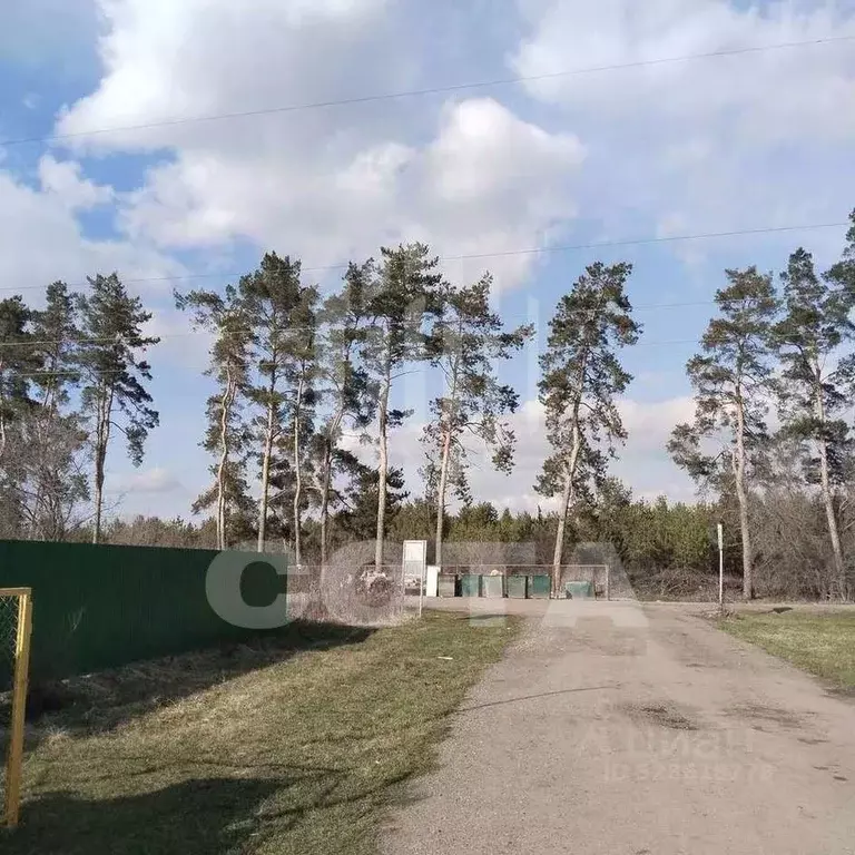 Дом в Воронежская область, Воронеж Сосна СНТ, ул. 12-я, 584 (46 м) - Фото 2