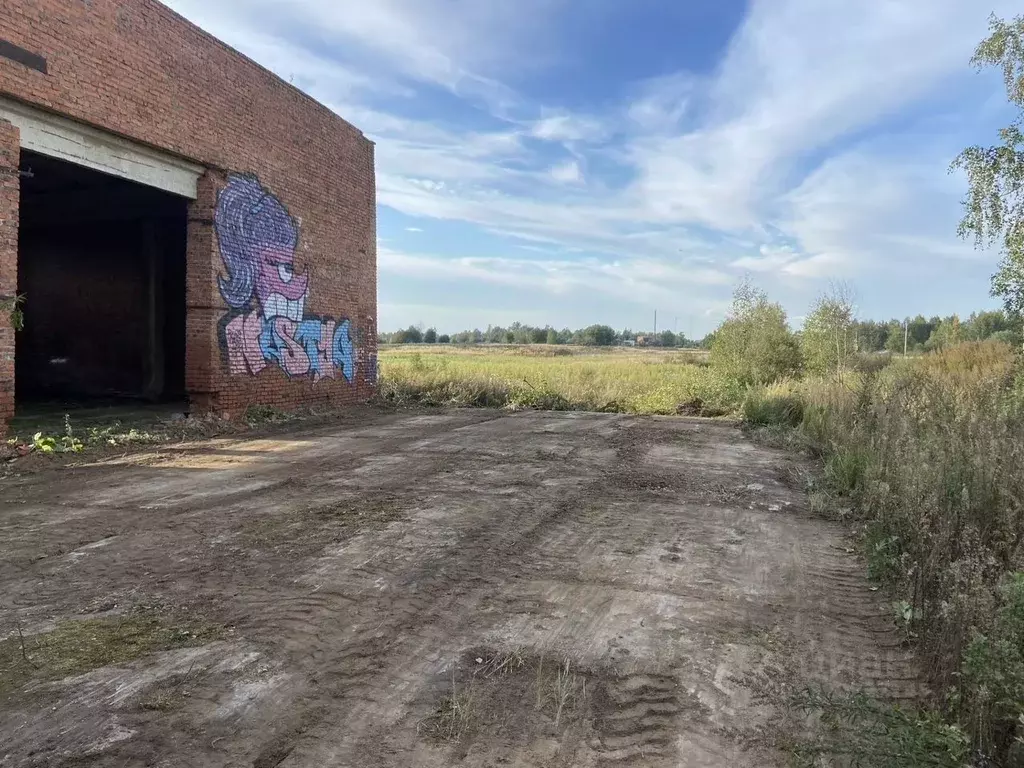 Участок в Московская область, Клин городской округ, д. Соголево  (5.0 ... - Фото 1