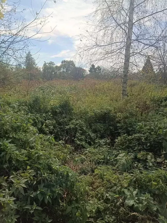 Участок в Московская область, Егорьевск муниципальный округ, д. ... - Фото 2