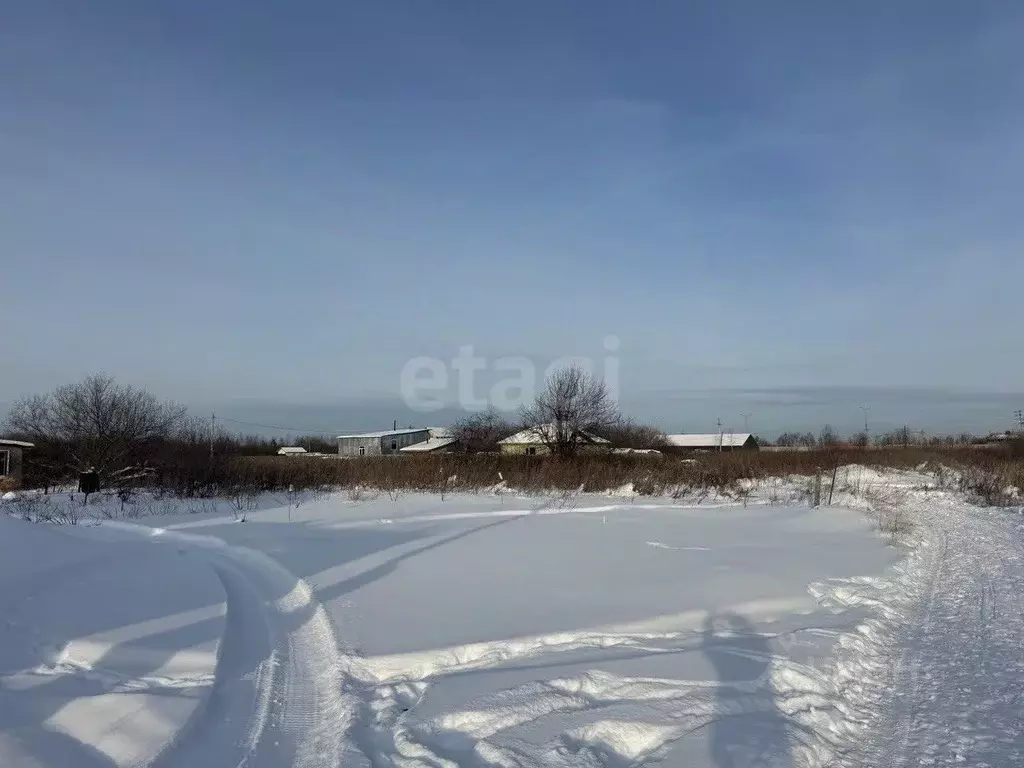 Участок в Тюменская область, Тюмень Рябинка-2 садовое товарищество,  ... - Фото 1