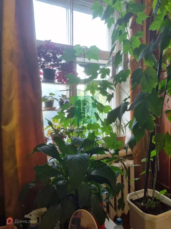 Продаётся 1-к квартира, 32.8 м - Фото 1
