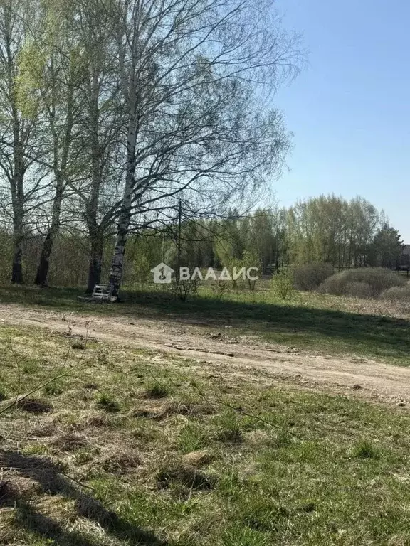 Дом в Владимирская область, Суздальский муниципальный округ, д. ... - Фото 2