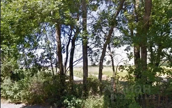 Участок в Ростовская область, Мясниковский район, Краснокрымское ... - Фото 1