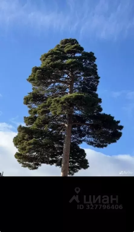 Участок в Татарстан, Казань КГУ НПП имени В.И.Ленина Лагерная СНТ,  ... - Фото 1