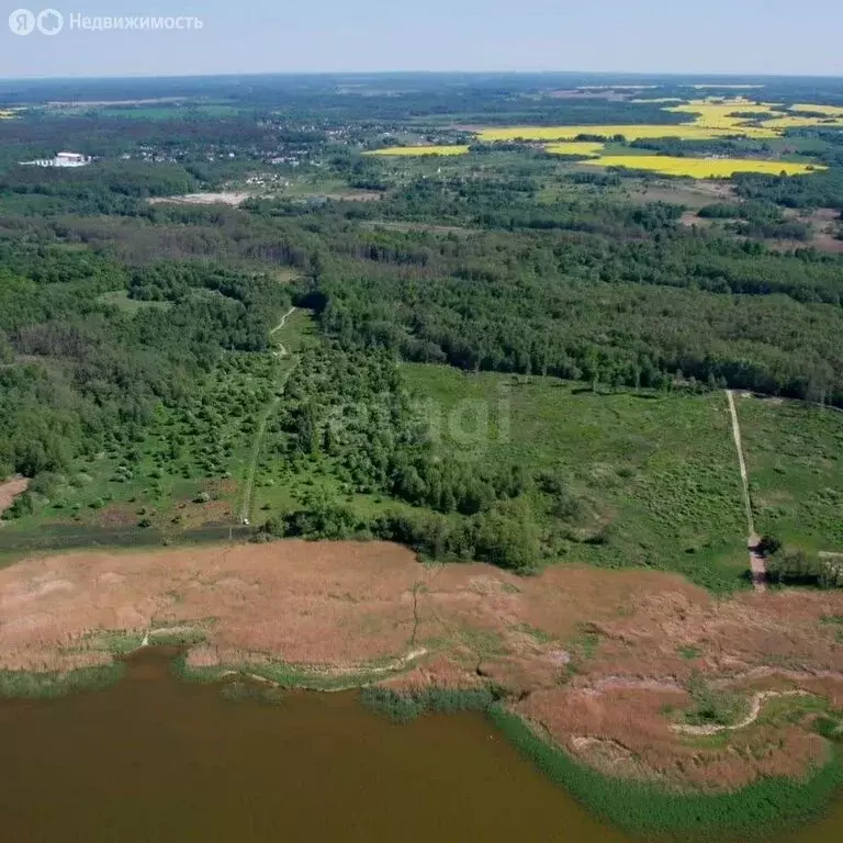 Участок в Калининградская область, Ладушкин (6 м) - Фото 1