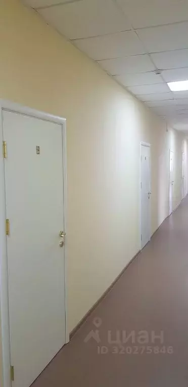 Офис в Алтайский край, Барнаул Партизанская ул., 266 (18 м) - Фото 2