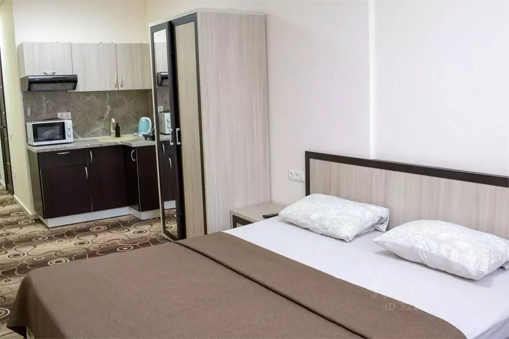 1-к кв. Краснодарский край, Новороссийск городской округ, с. Мысхако ... - Фото 1