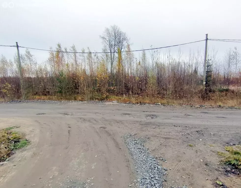 Участок в Петрозаводск, улица Алексея Фофанова (10 м) - Фото 2