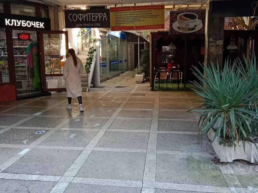Офис в Краснодарский край, Сочи Центральный мкр, ул. Навагинская, 14 ... - Фото 2