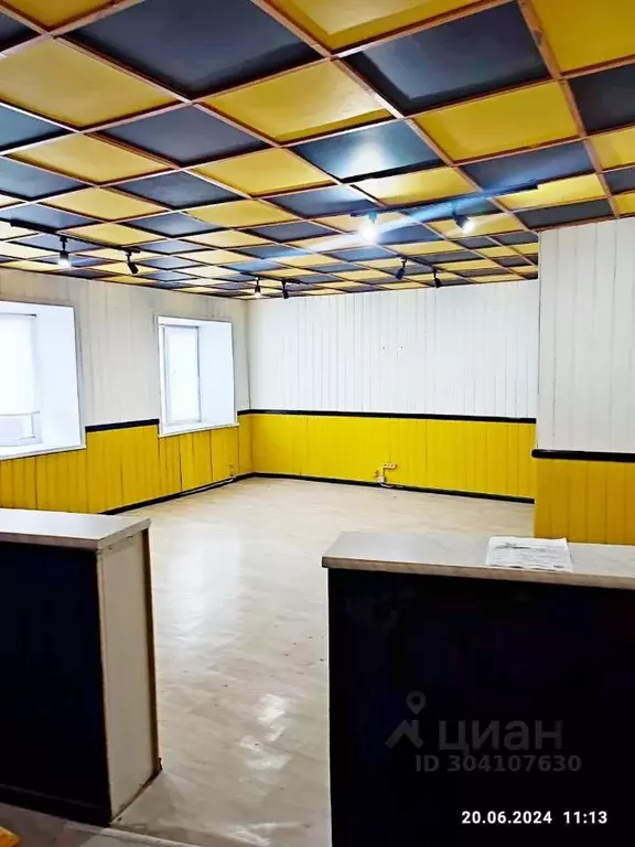 Офис в Чувашия, Чебоксары ул. Чапаева, 14 (44 м) - Фото 2