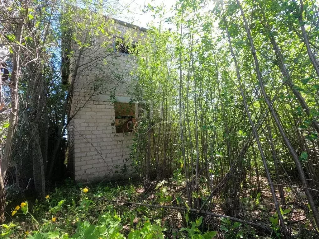 Участок в Оренбургская область, Оренбургский район, Нежинский ... - Фото 1