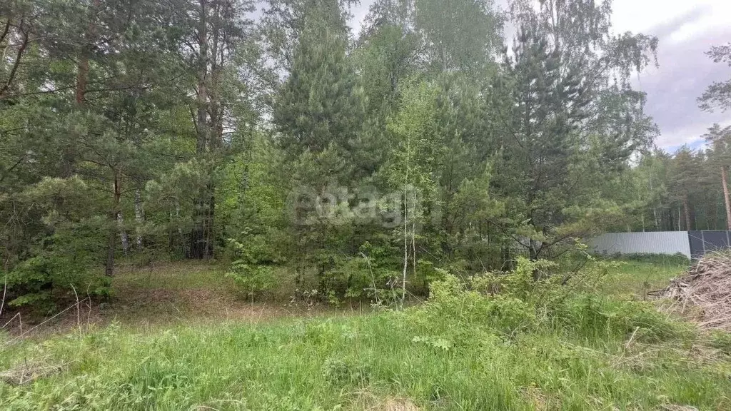 Участок в Тюменская область, Нижнетавдинский муниципальный округ, с. ... - Фото 2