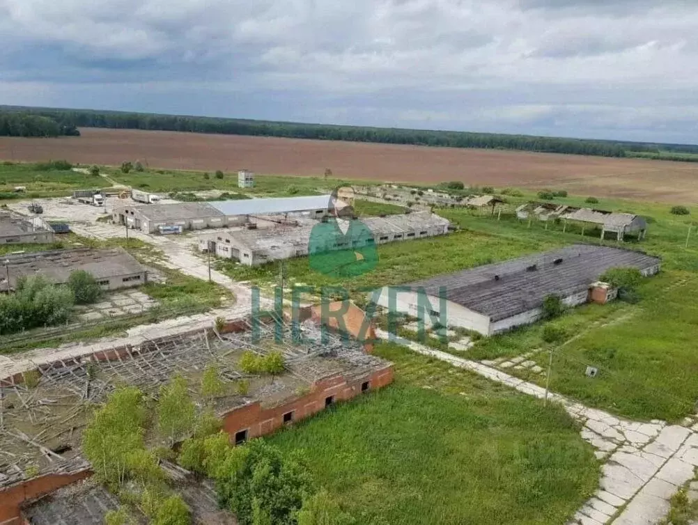Склад в Московская область, Ступино городской округ, с. Куртино  (6800 ... - Фото 1