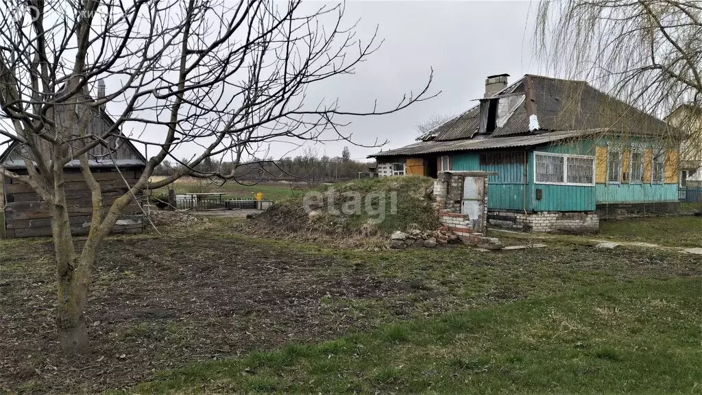 Дом в деревня Бурачовка, улица Павла Зайцева (51 м) - Фото 1