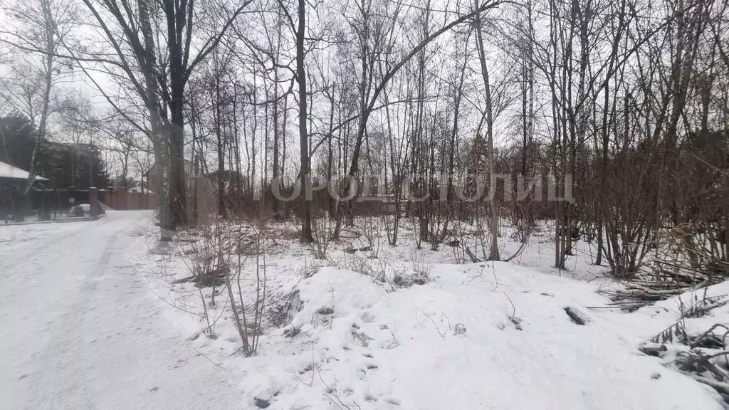 Участок в Московская область, Ленинский городской округ, д. Жабкино ... - Фото 0