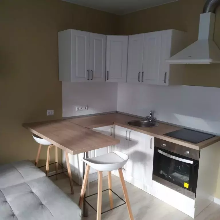 Студия Санкт-Петербург 26-я Васильевского острова линия, 7 (27.2 м) - Фото 2