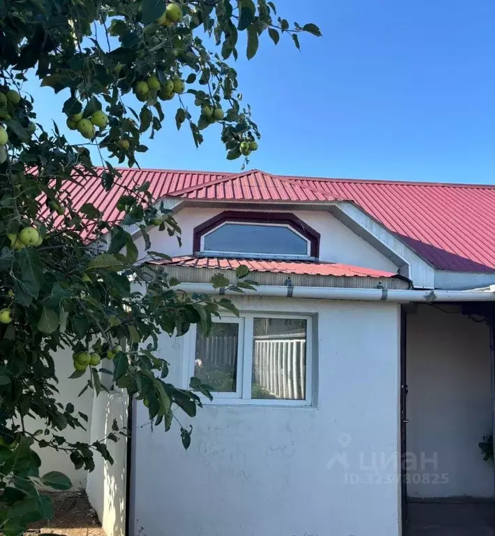 Участок в Татарстан, Нижнекамский район, Афанасовское с/пос, с. ... - Фото 1