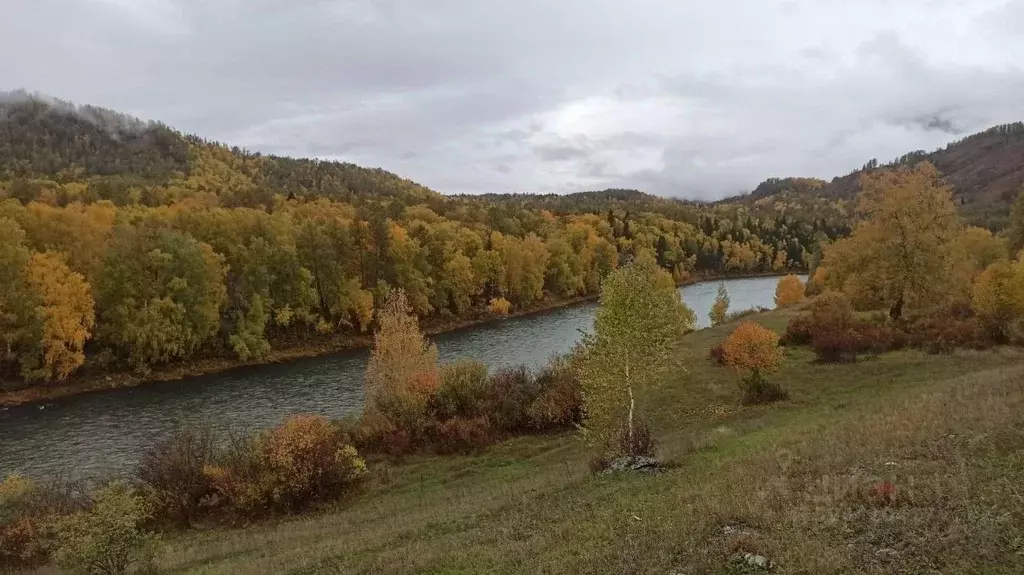 Участок в Алтай, Усть-Коксинский район, с. Верх-Уймон ул. Полевая, 6 ... - Фото 2