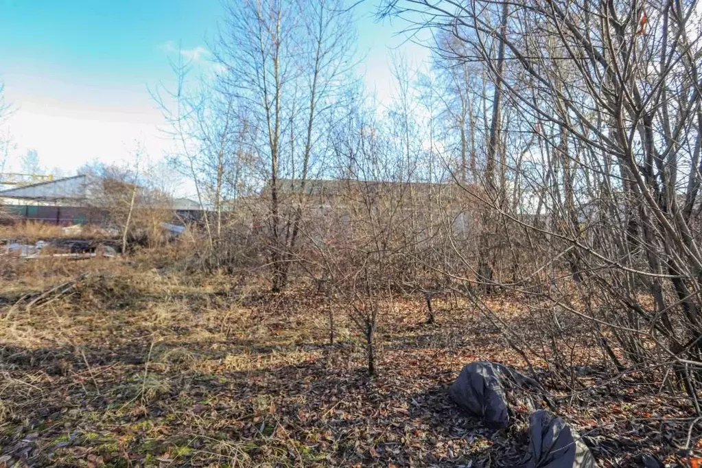 Участок в Иркутская область, Шелехов Индустриальная ул., 5 (35.0 сот.) - Фото 2