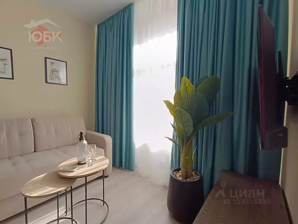 1-к кв. Крым, Евпатория городской округ, Заозерное пгт ул. Аллея ... - Фото 2