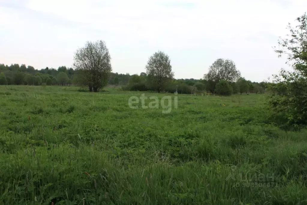 Участок в Вологодская область, Череповецкий район, Ягановское с/пос, ... - Фото 1