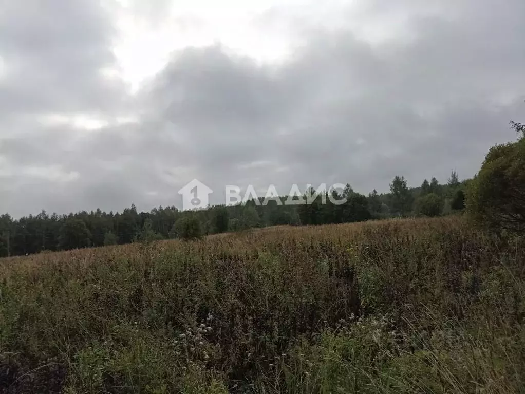 Участок в Калужская область, Перемышльский муниципальный округ, ... - Фото 1