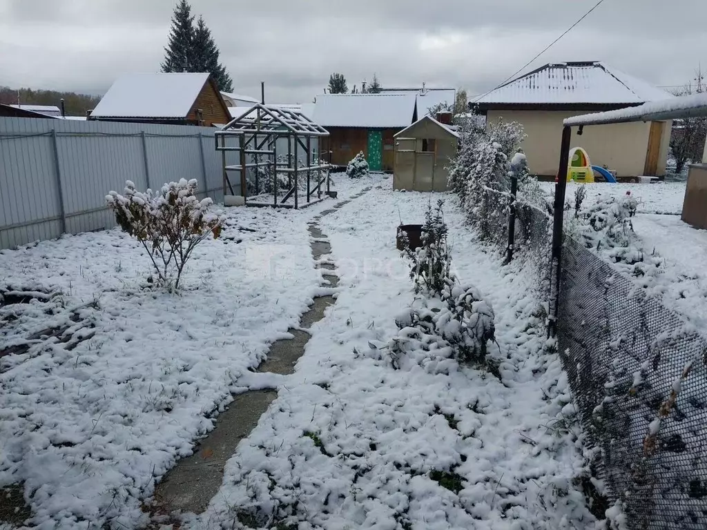 Участок в Новосибирская область, Новосибирский район, Мичуринский ... - Фото 2