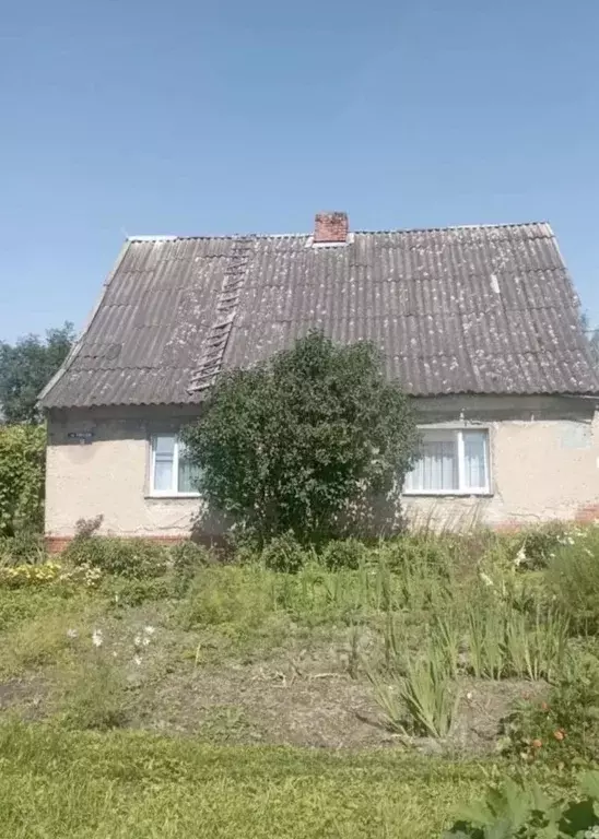 Дом в Калининградская область, Гусев ул. Победы, 56 (75 м) - Фото 2