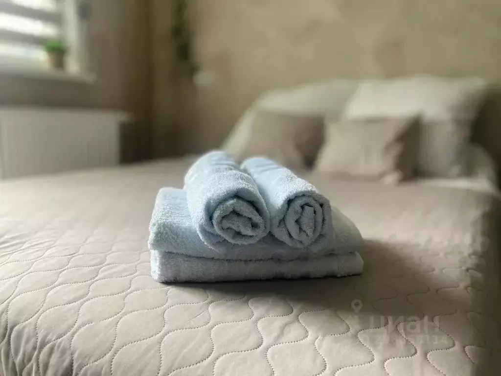 Студия Пензенская область, Пенза ул. Шмидта, 24 (20.0 м) - Фото 2