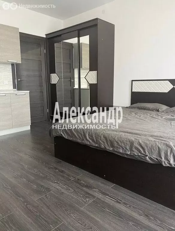 Квартира-студия: Санкт-Петербург, проспект Ветеранов, 183 (24.5 м) - Фото 2