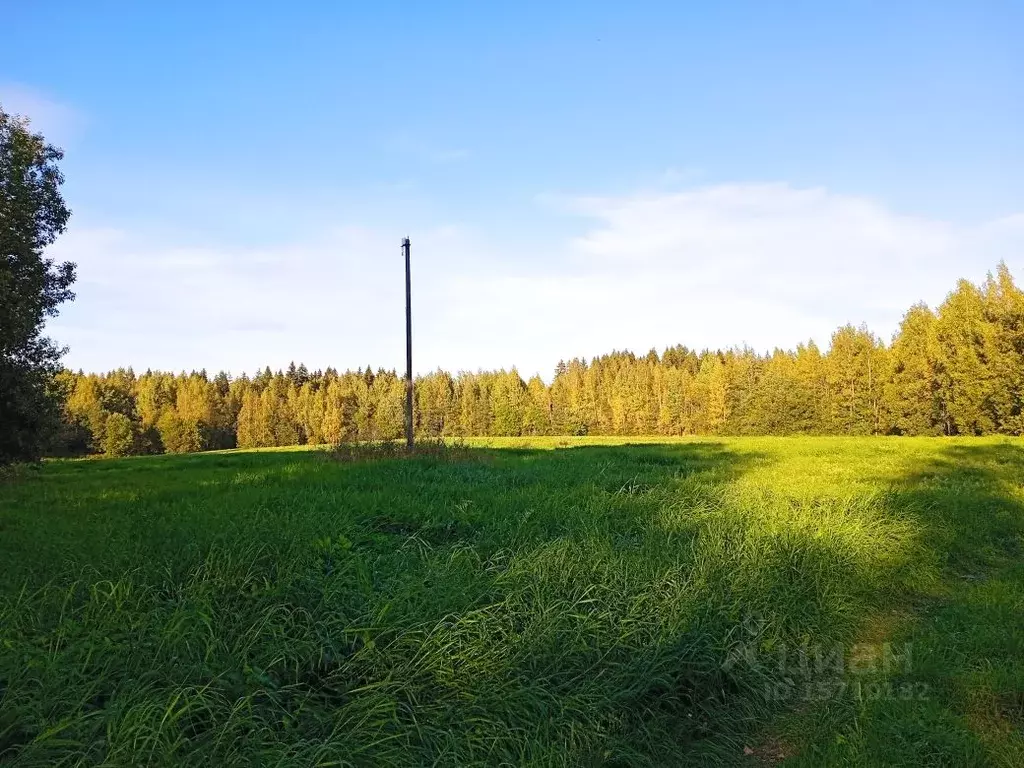 Участок в Ленинградская область, Выборгский район, Полянское с/пос, . - Фото 0
