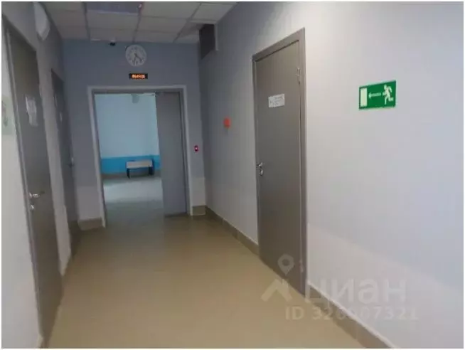 Помещение свободного назначения в Ленинградская область, Ивангород ... - Фото 1