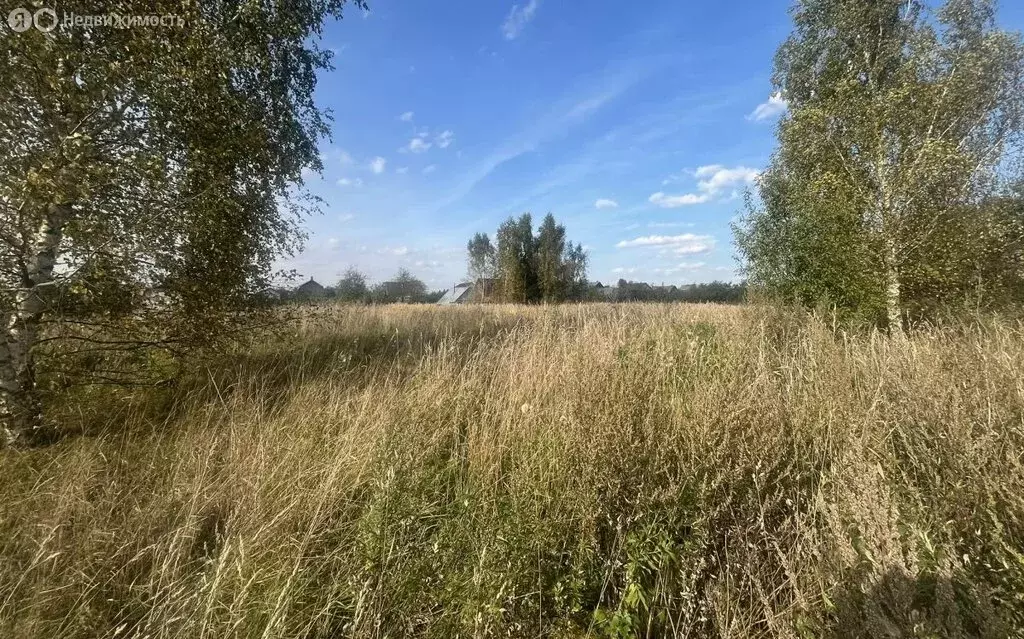 Участок в Сергиево-Посадский городской округ, деревня Шубино, 8 (13 м) - Фото 2