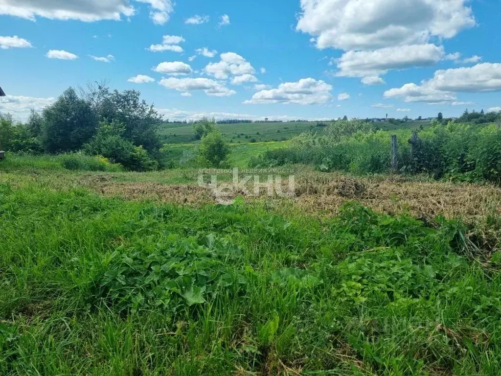 Участок в Нижегородская область, Дальнеконстантиновский муниципальный ... - Фото 0