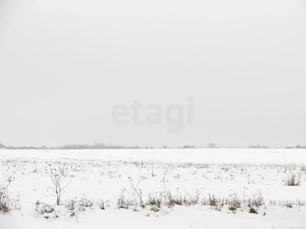 Участок в Костромская область, Красносельский район, Шолоховское ... - Фото 1