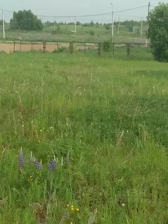 Участок в Владимирская область, Кольчугино Вишневая ул., 11 (11.0 ... - Фото 1