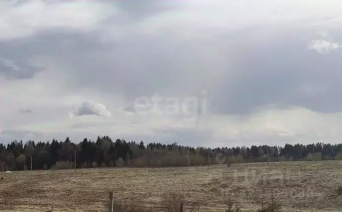 Участок в Вологодская область, пос. Сосновка  (12.0 сот.) - Фото 0