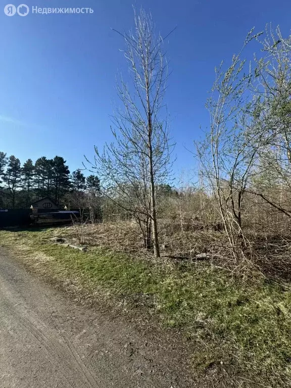 Участок в село Соузга, Трактовая улица (5.9 м) - Фото 2